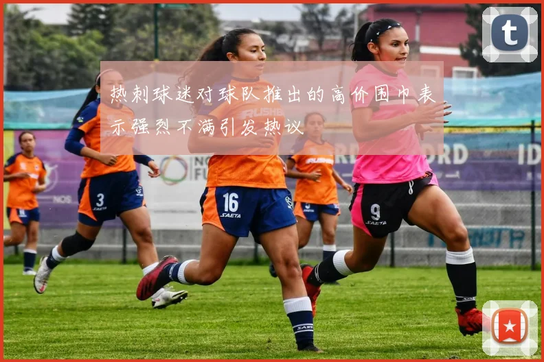 热刺球迷对球队推出的高价围巾表示强烈不满引发热议